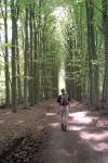 de Larense Weg