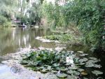 Leuk, zo'n bungalowpark