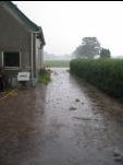 Uitzicht vanuit de schuur