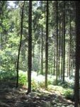 In de schaduw