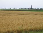 Kerk van Ottersum